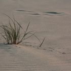 Strand am Abend