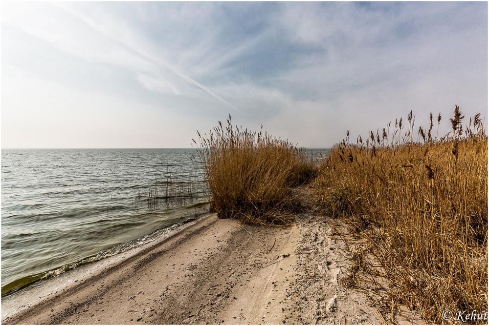 Strand am Bodden