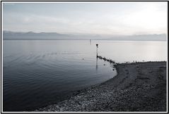 Strand am Bodensee