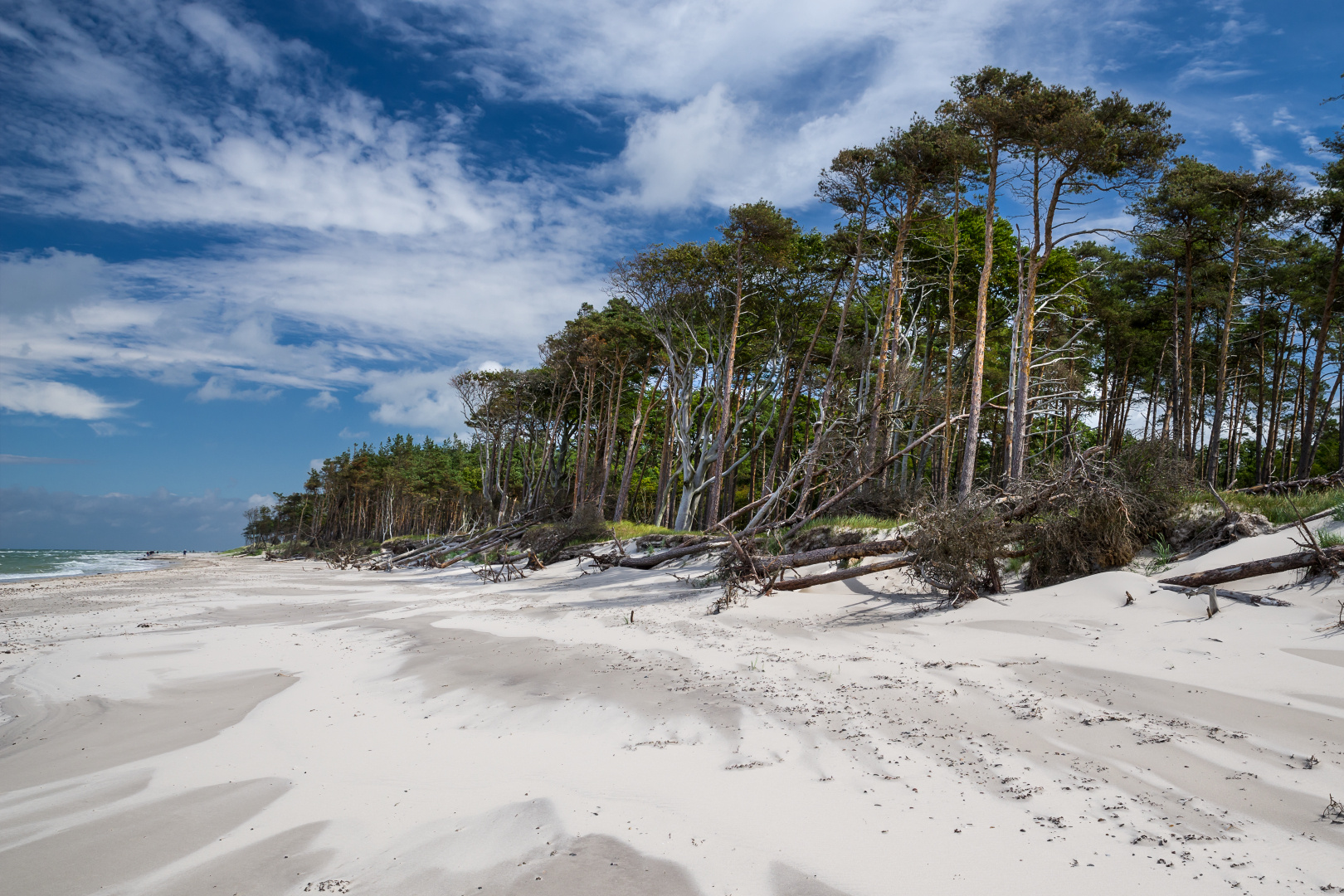 Strand am Darß