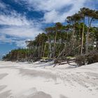 Strand am Darß