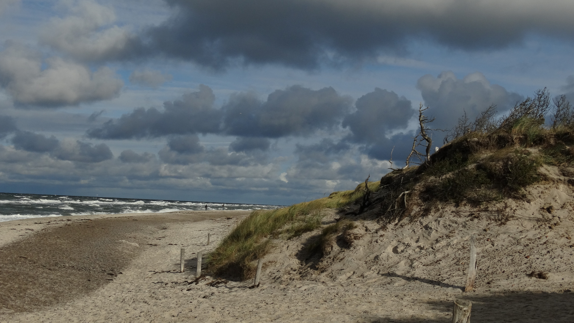 Strand am Darßer Ort