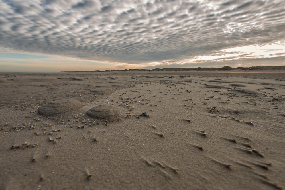 Strand am frühen Morgen