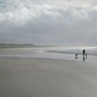 Strand am Inch Point, Kerry