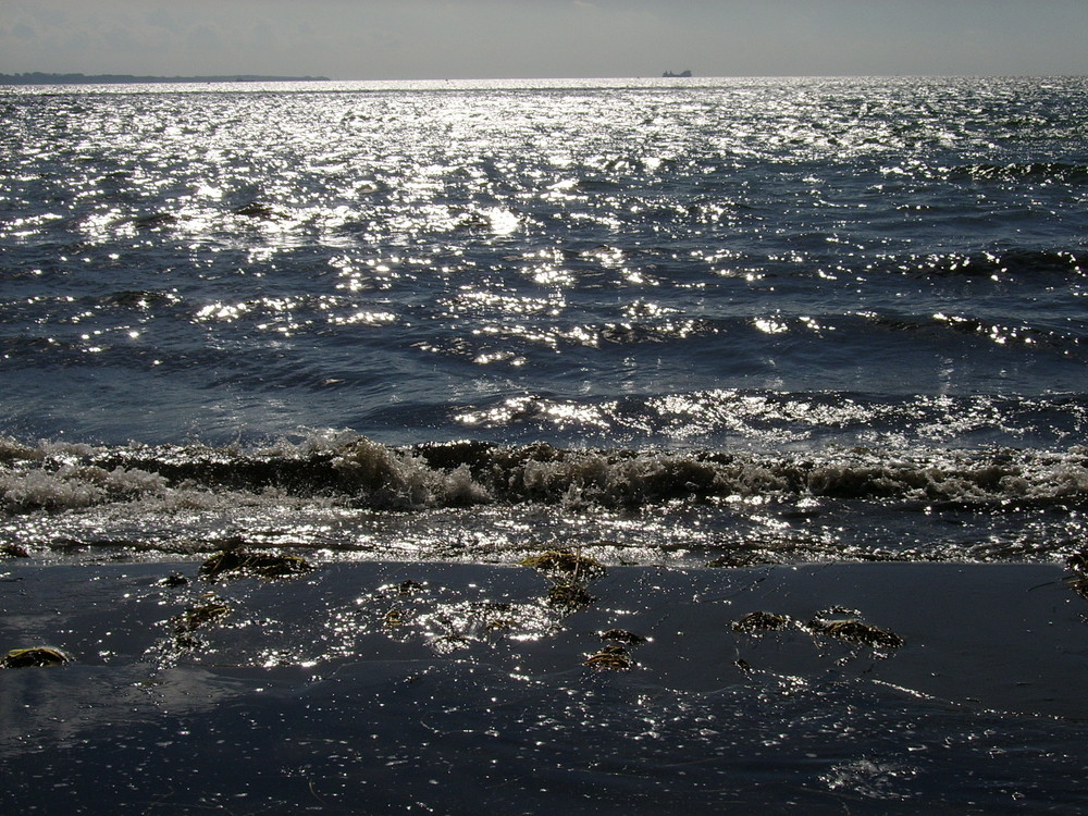 Strand am Öresund