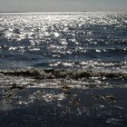 Strand am Öresund