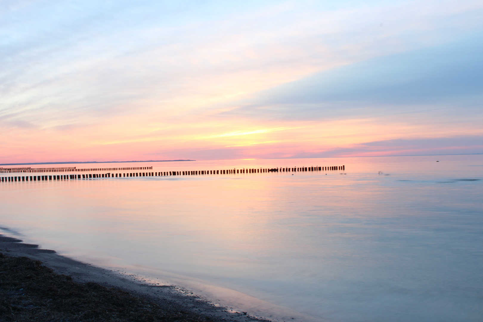 Strand am schwarzen Busch