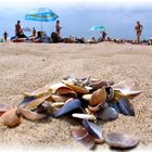 Strand am schwarzen Meer in der Ukraine