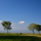 Strand am Wienermeer in Podersdorf Oktober 2016