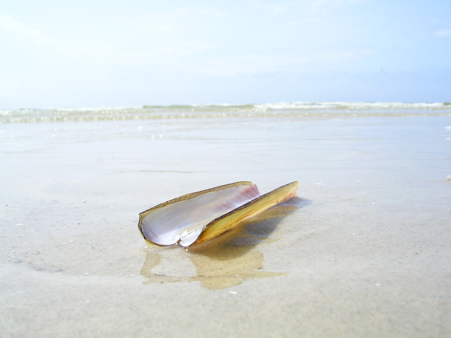 Strand, Amrum