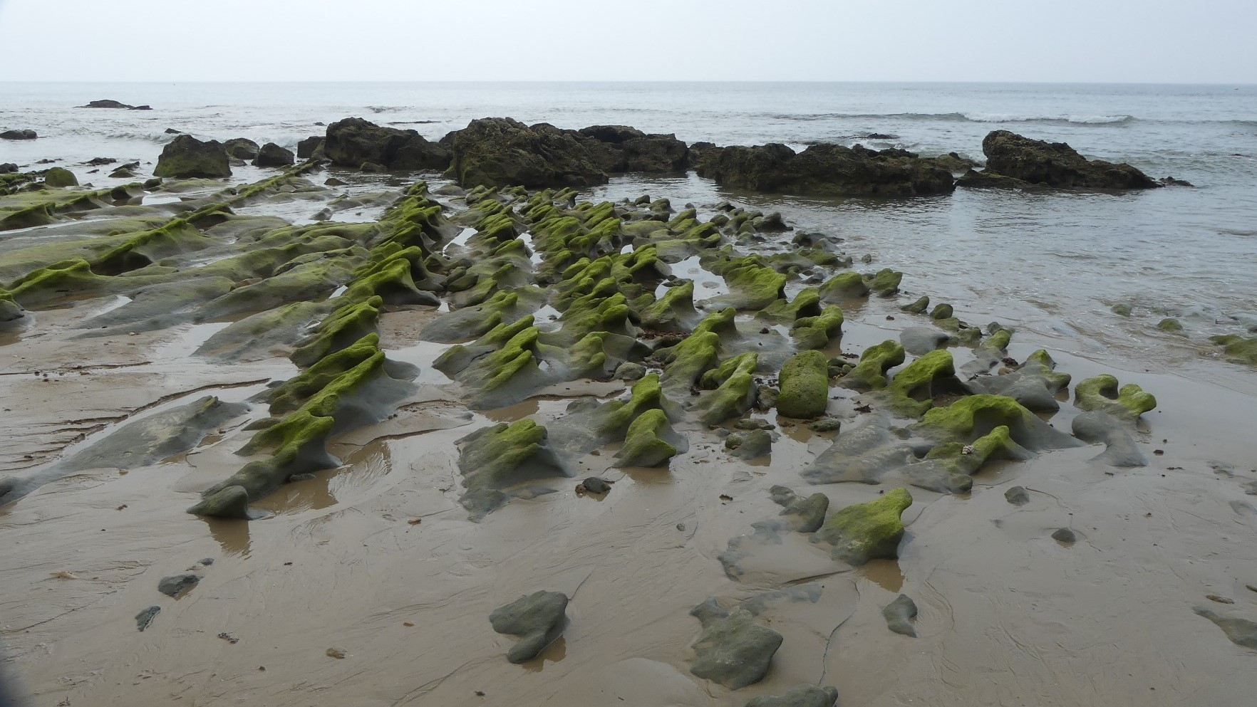 Strand an der Costa de la Luz bei Ebbe