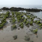 Strand an der Costa de la Luz bei Ebbe