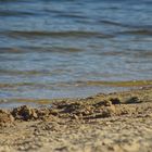 Strand an der Elbe