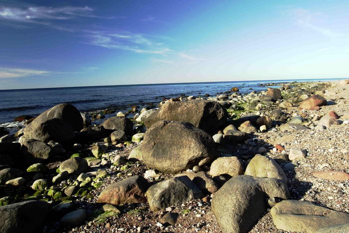 Strand an der Kreptitzer Heide