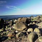 Strand an der Kreptitzer Heide