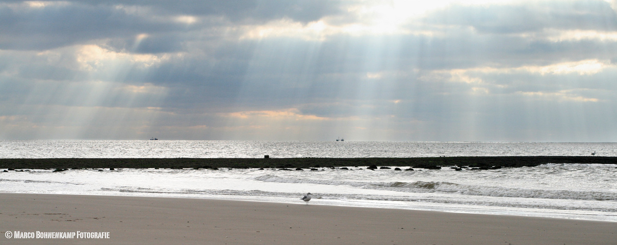 Strand an der Nordsee Holland