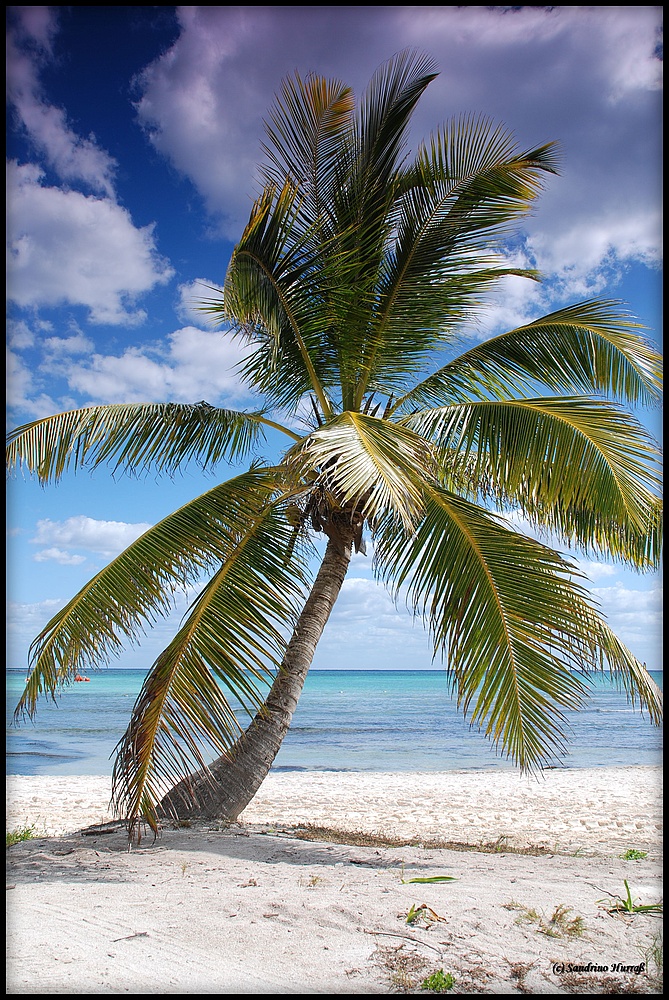 Strand an der Riviera del Maya