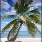 Strand an der Riviera del Maya