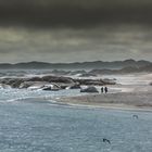 Strand an der Südküste Australiens