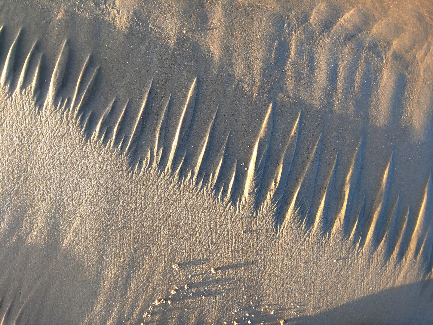 STRAND ANDERS