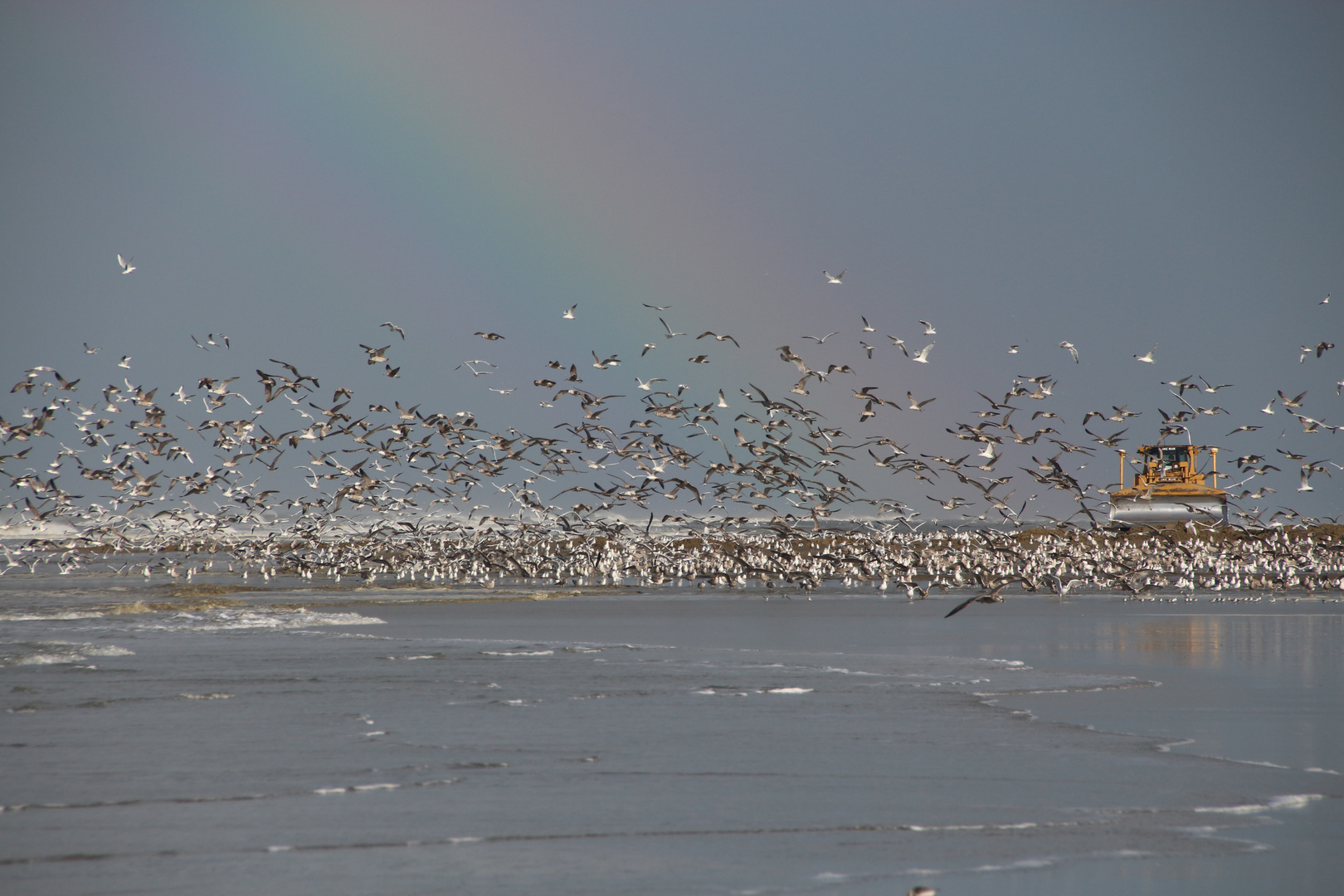 Strand arbeiten auf Ameland