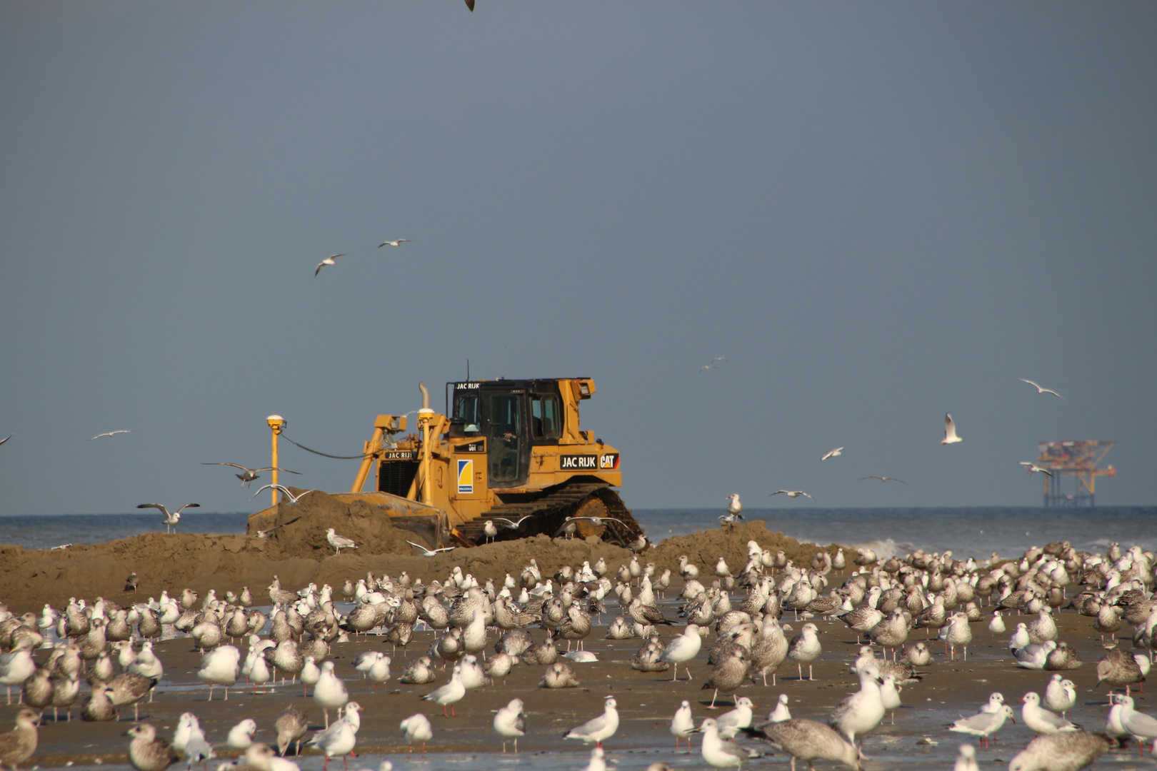 Strand arbeiten auf ameland 2