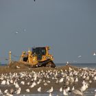 Strand arbeiten auf ameland 2