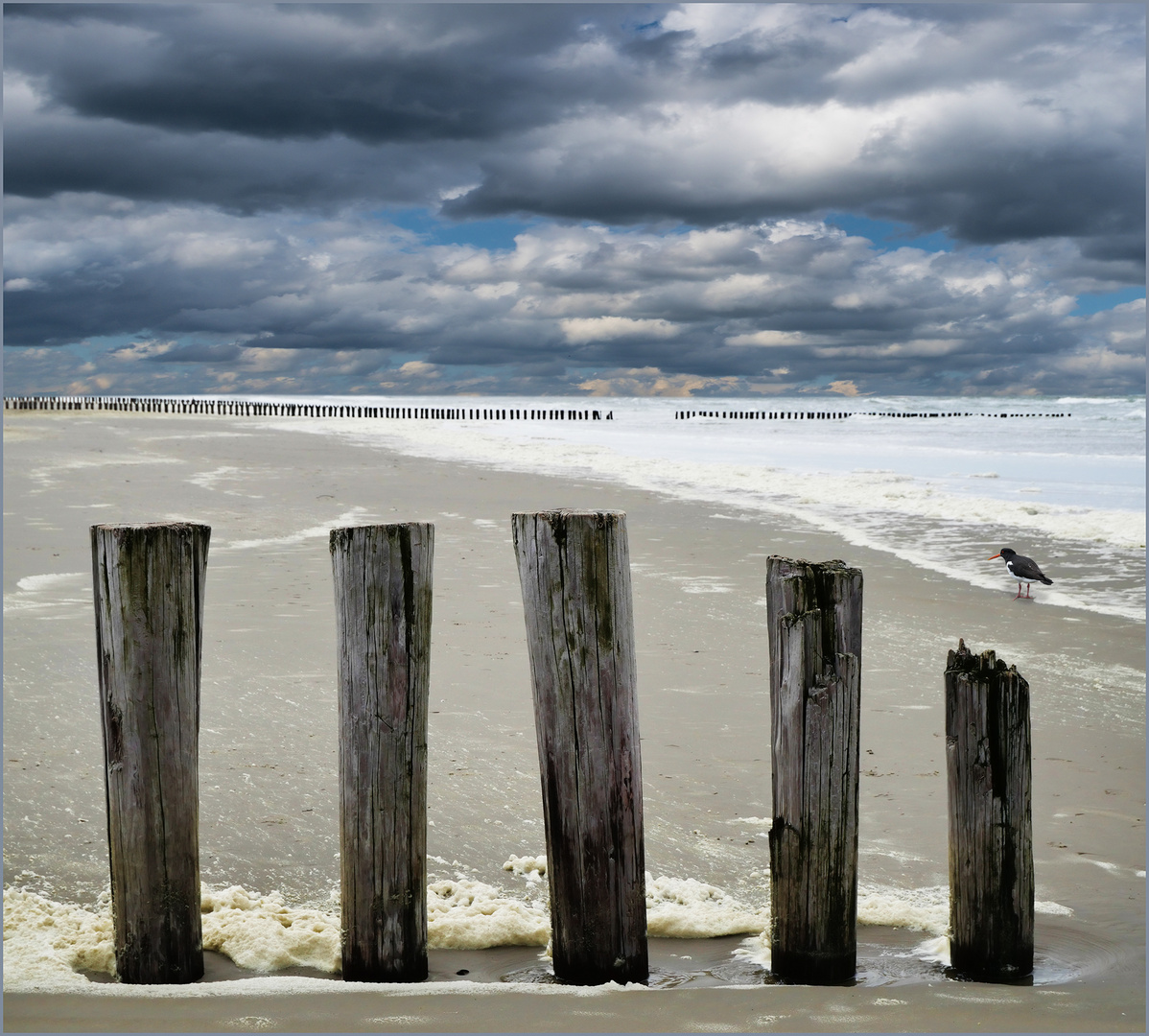 Strand auf Ameland