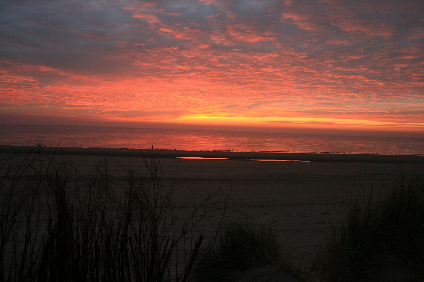 Strand auf Ameland