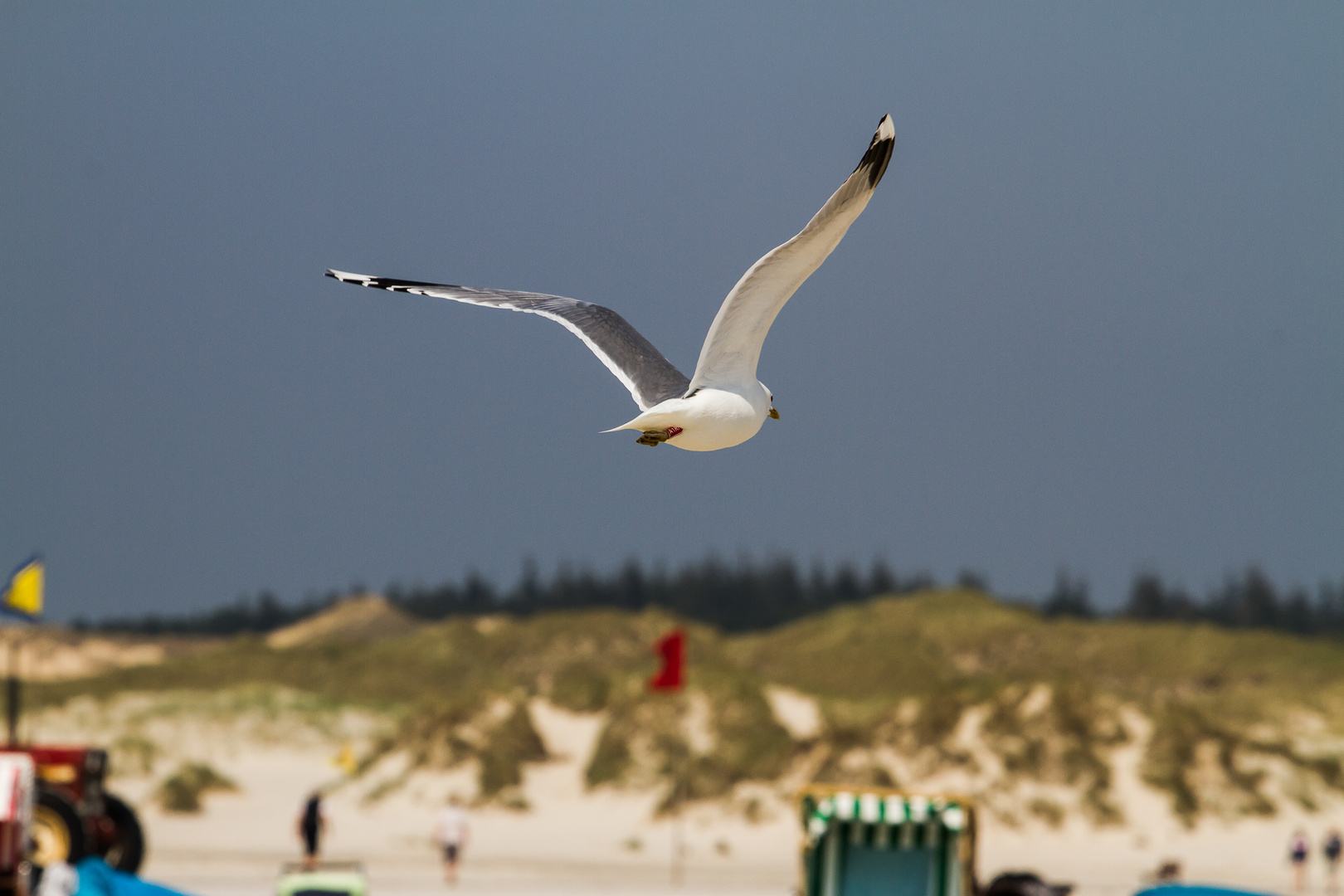 Strand auf Amrum