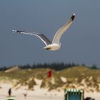 Strand auf Amrum