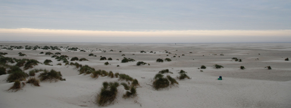 Strand auf Amrum