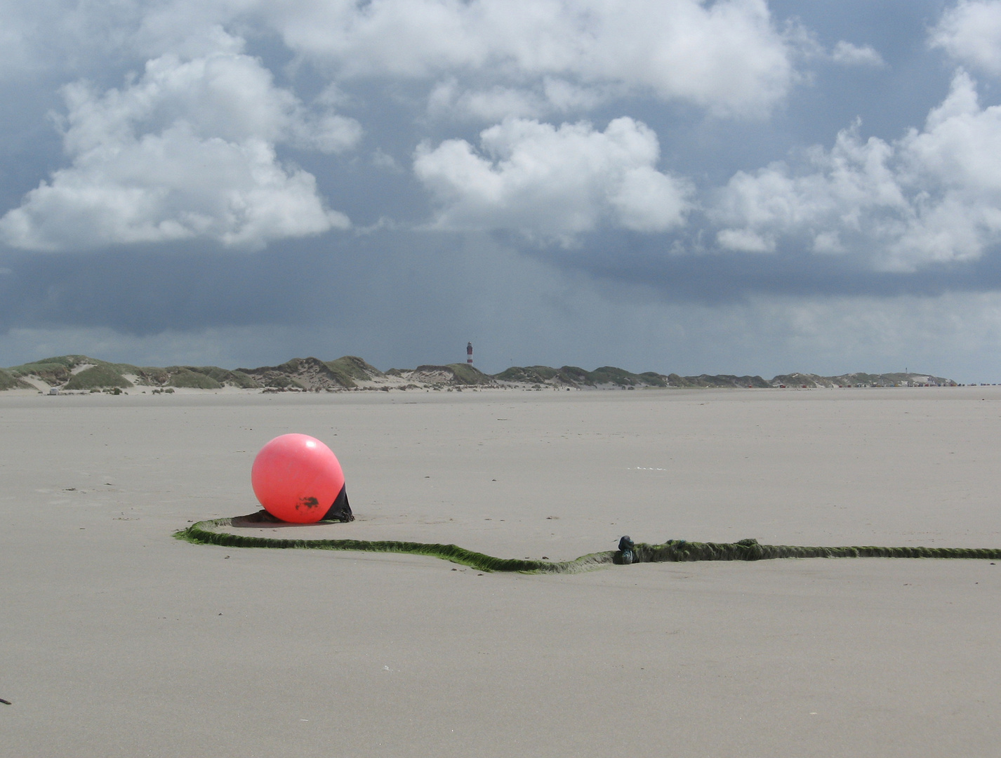 Strand auf Amrum