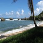 Strand auf Barbados (Kleine Antillen)