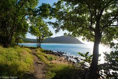 Strand auf Basse-Terre / Guadeloupe