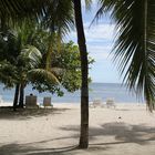 Strand auf Bohol -Philippinen