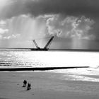 Strand auf Borkum