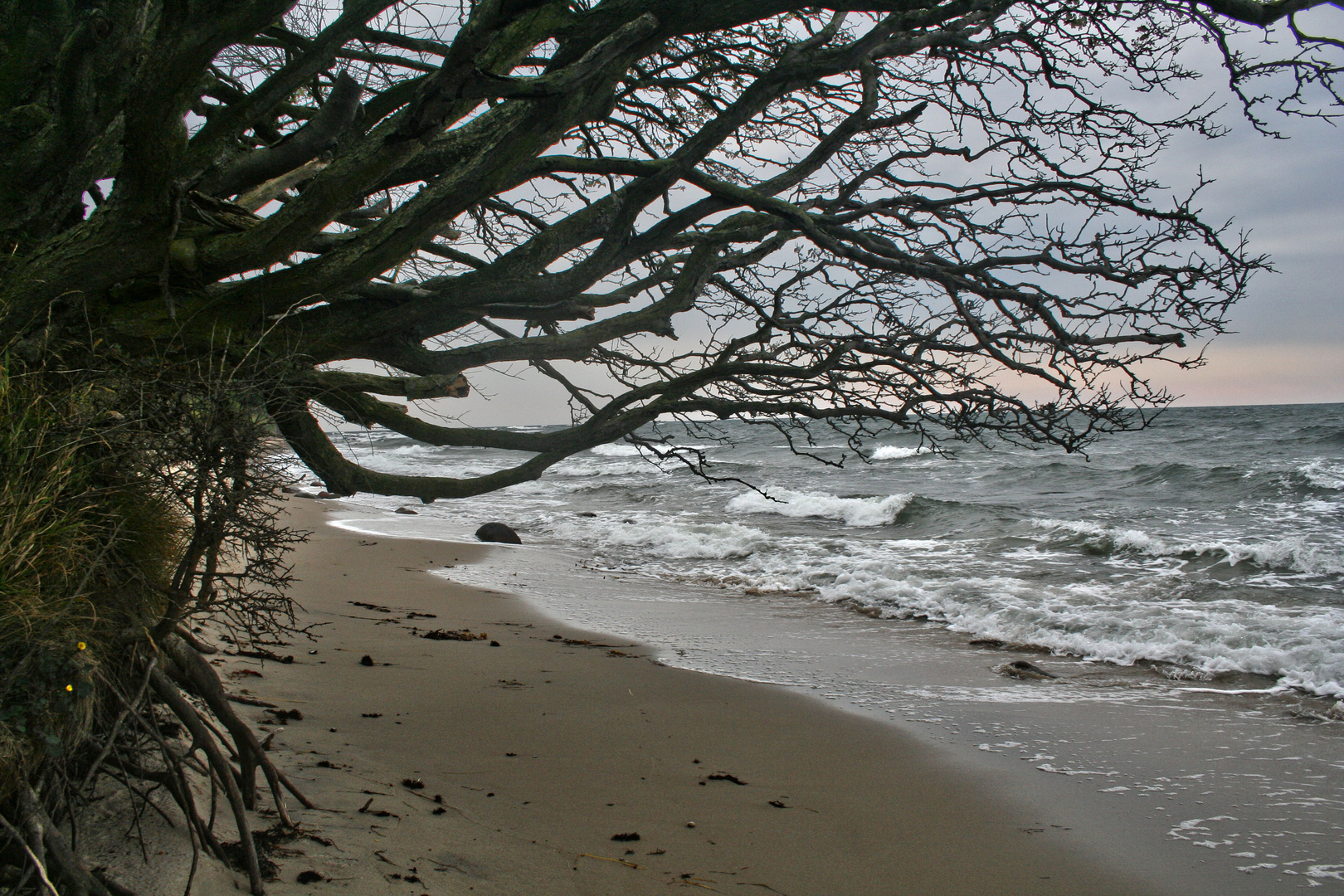 Strand auf Bornholm - 2015 (3)