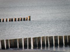 Strand auf dem Darß