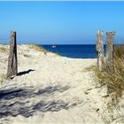 Strand auf dem Graswarder