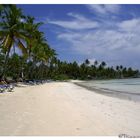 Strand auf der Halbinsel Samana (Karabik / dominikanische Republik / Grand Paradise Samana)