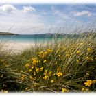 Strand auf der Isle of Harris