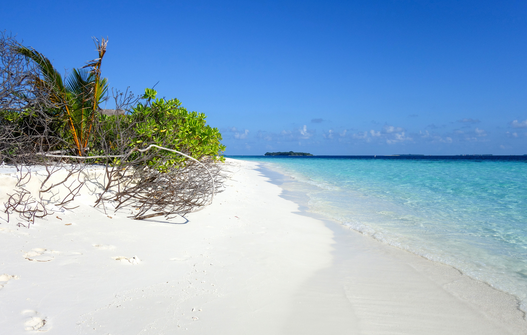 Strand auf einer einsamen Malediveninsel