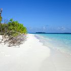 Strand auf einer einsamen Malediveninsel