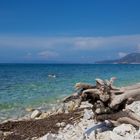 Strand auf Elba