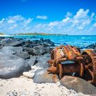 Strand auf Flat Island, Mauritius