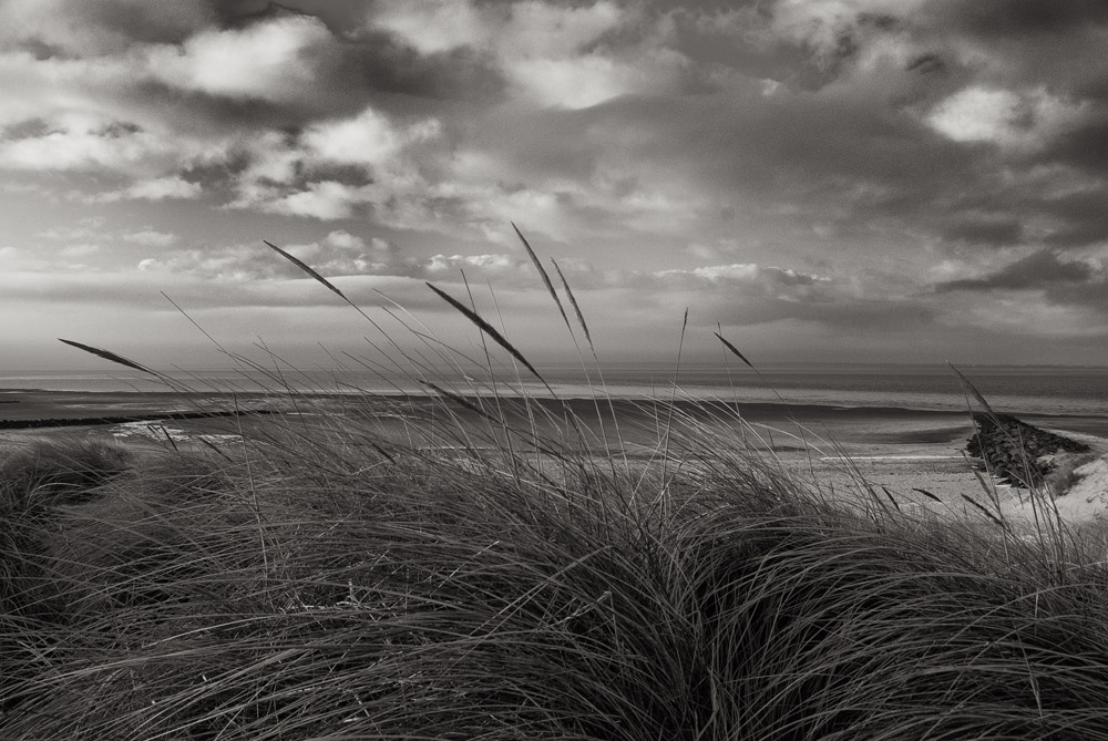 Strand auf Föhr