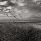 Strand auf Föhr