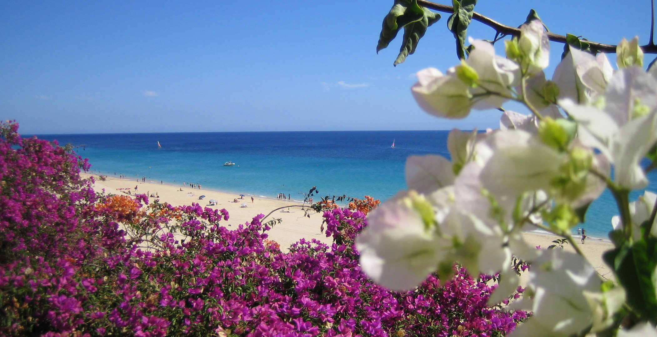 Strand auf Fuerteventura