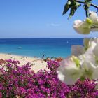 Strand auf Fuerteventura